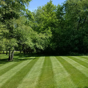 lawn stripes plainfield