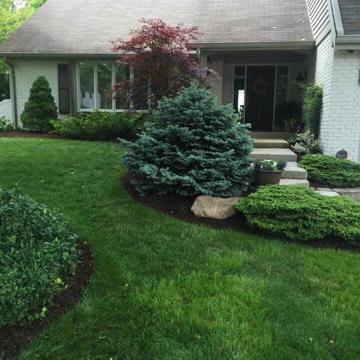 Landscaped Yard In Plainfield